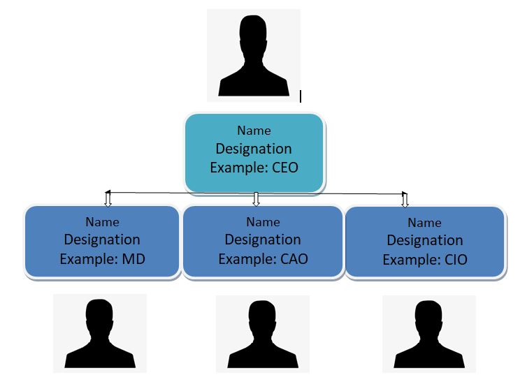 Company-management-hierarchy for comapny profile