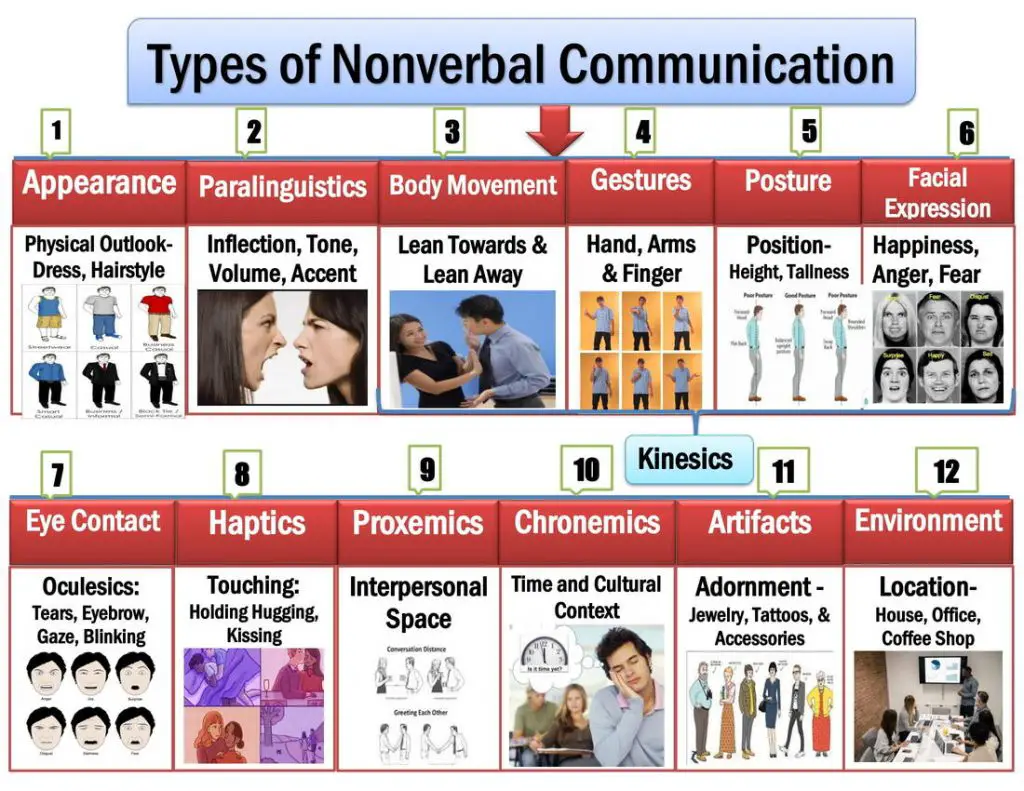 nonverbal communication during a presentation