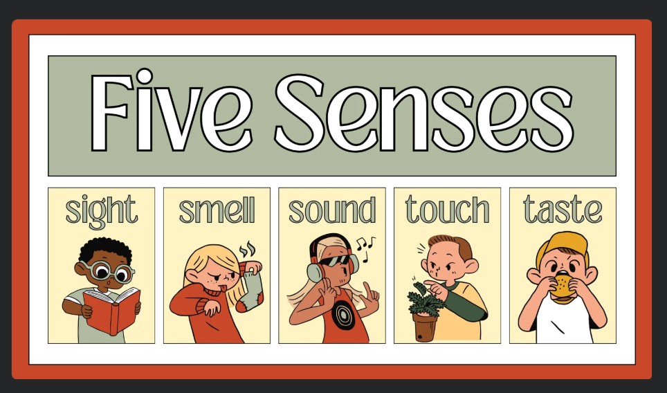 Human senses as the channel of communication