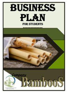 how to write business plan for students