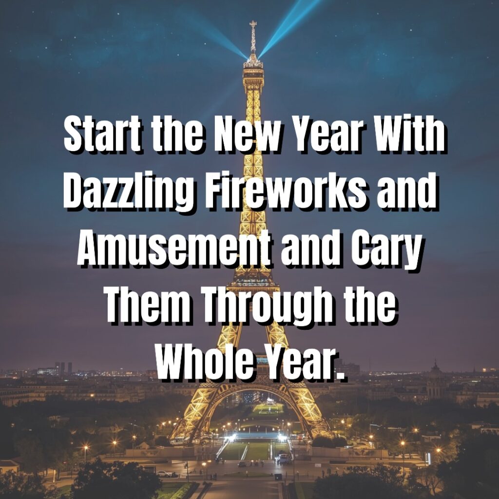 Happy New Year Wishes in France